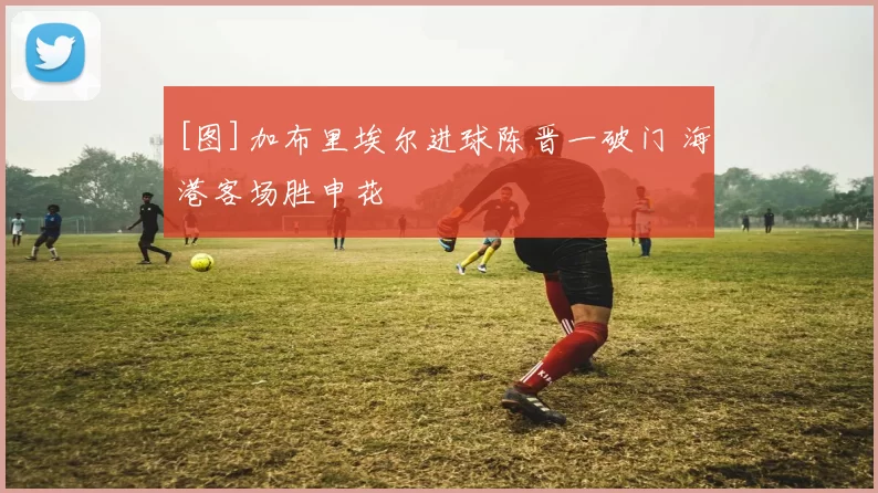 [图]加布里埃尔进球陈晋一破门 海港客场胜申花