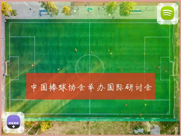 中国棒球协会举办国际研讨会