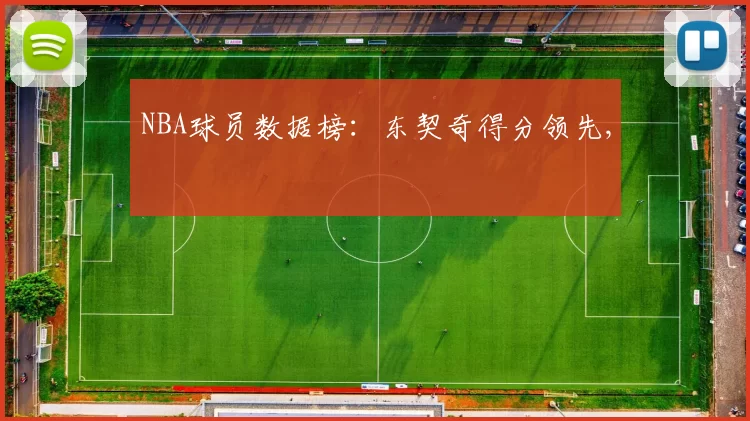 NBA球员数据榜：东契奇得分领先,