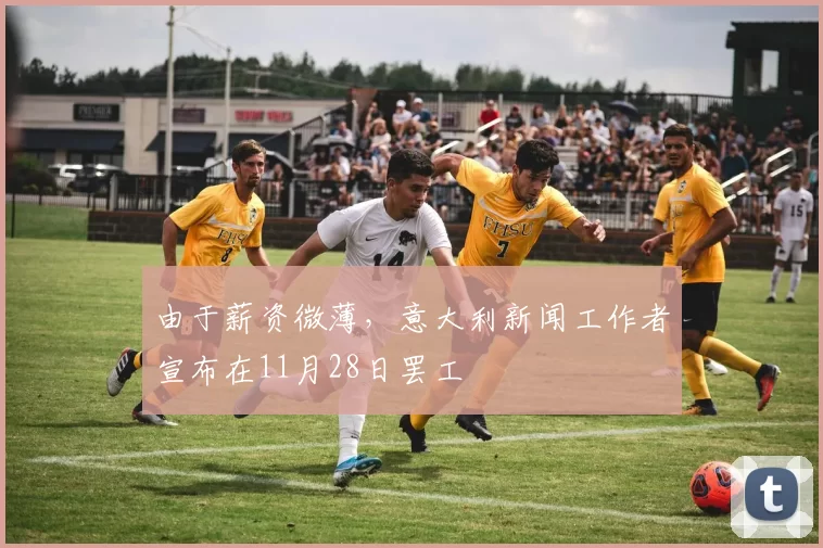 由于薪资微薄，意大利新闻工作者宣布在11月28日罢工