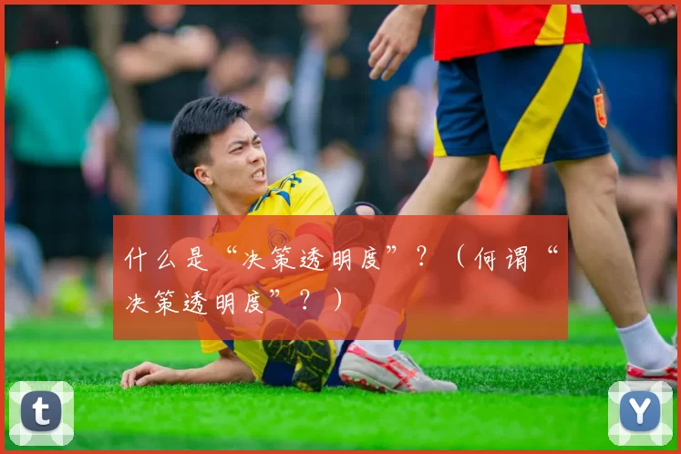 什么是“决策透明度”？（何谓“决策透明度”？）